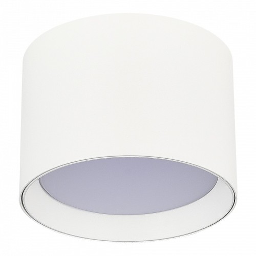 Накладной светильник ST-Luce  ST163.502.01.02