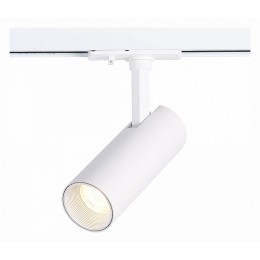 Светильник на штанге ST-Luce Mono ST350.546.10.36