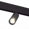 Светильник на штанге ST-Luce SKYLINE 48 ST365.436.12.1