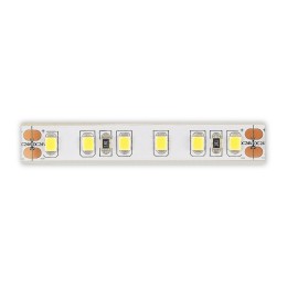 Лента светодиодная ST-Luce ST5001 ST5001.410.65