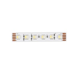 Лента светодиодная ST-Luce ST5005 ST5005.318.20RGBW.1