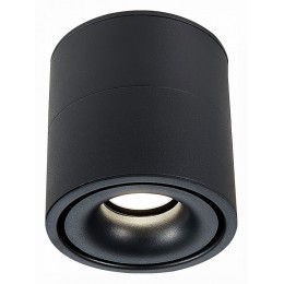 Светильник на штанге ST-Luce ST652 ST652.442.12