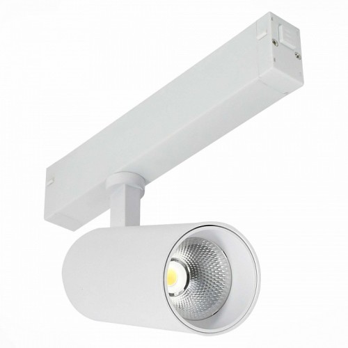 Светильник на штанге ST-Luce SKYLINE 220 ST660.546.20H
