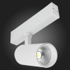 Светильник на штанге ST-Luce SKYLINE 220 ST660.596.10H