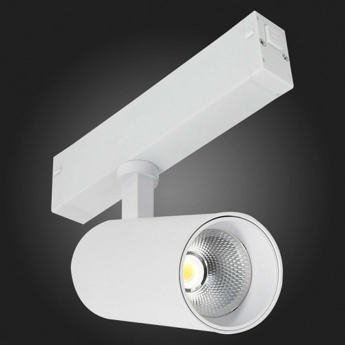 Светильник на штанге ST-Luce SKYLINE 220 ST660.596.10H
