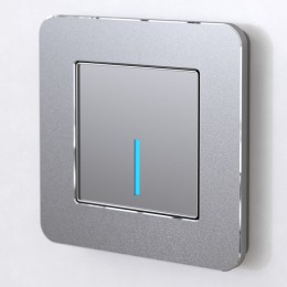 Рамка на 1 пост Werkel Platinum (алюминий) W0012606