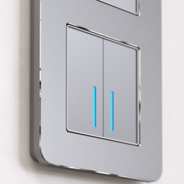 Рамка на 2 поста Werkel Platinum (алюминий) W0022606