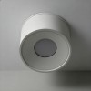 Накладной светильник Wertmark WTA WTA.O01.007.30.07