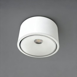 Накладной светильник Wertmark WTA.O06 WTA.O06.007.30.12