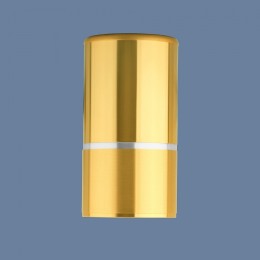 Накладной светильник Elektrostandard DLN106/DLN107 a047732