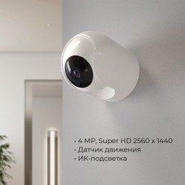 Видеокамера безопасности Elektrostandard WF 76500/00