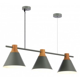 Подвесной светильник EVOLUCE Modica SLE125113-03