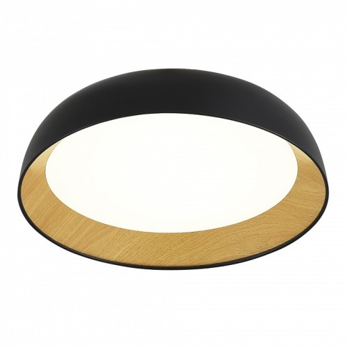 Накладной светильник EVOLUCE MUSE SLE1812-402-01