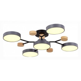 Потолочная люстра EVOLUCE Faema SLE6006-702-05