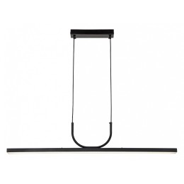 Подвесной светильник Favourite Raya 4096-1P