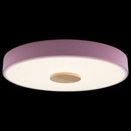 Накладной светильник Loft it Axel 2 10003/24 Pink