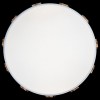 Накладной светильник Loft it Axel 5 10006/36 White