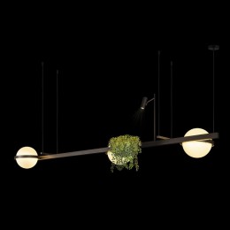 Подвесной светильник Loft it Jardin 10121/C Dark grey