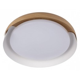 Накладной светильник Loft it Coin 10198 White