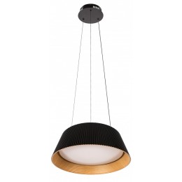 Подвесной светильник Loft it Evans 10224P Black