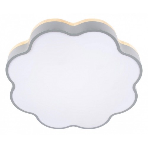 Накладной светильник Loft it Axel 10225/36 Grey