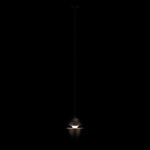 Подвесной светильник Loft it Viterbo 10336 Black