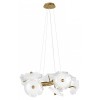 Подвесная люстра Loft it Bloom 10352/650 AB
