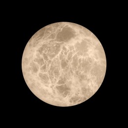 Накладной светильник Loft it Emi 10414W/S