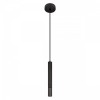 Подвесной светильник Loft it Everest 10583C Black