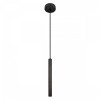 Подвесной светильник Loft it Everest 10583D Black