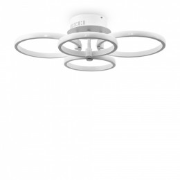 Накладной светильник Freya  FR10018CL-L40W