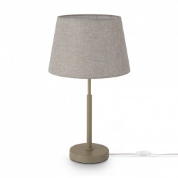 Настольная лампа декоративная Freya Butler FR2057TL-01BG