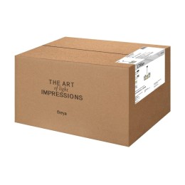 Подвесная люстра Freya Lumi FR5524PL-04BBZ