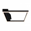 Накладной светильник Freya Frame FR6084CL-L82B
