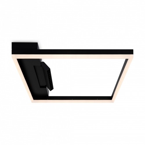 Накладной светильник Freya Frame FR6084CL-L82B
