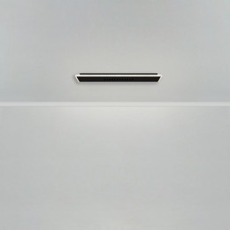 Накладной светильник Freya Shine FR6105CL-L40B