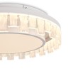 Накладной светильник Freya Rond FR6226CL-L36W