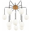 Потолочная люстра Maytoni Branch MOD176PL-12G