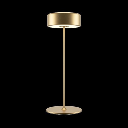 Настольная лампа декоративная Maytoni AI Collaboration MOD229TL-L3G3K2