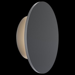 Накладной светильник Maytoni Wald O420WL-L7GF