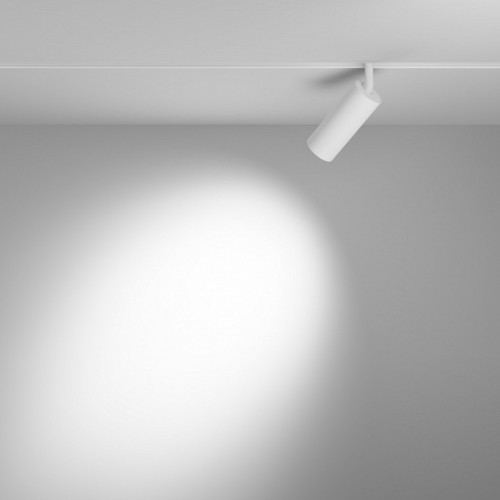 Светильник на штанге Maytoni Focus LED TR032-4-12WTW-M-DD2-W