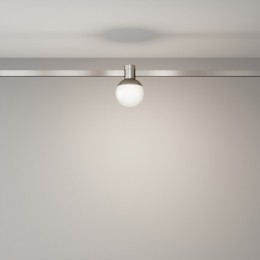 Накладной светильник Maytoni Luna TR149-1-5W4K-PT