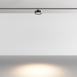 Светильник на штанге Maytoni Zon TR204-1-12W3K-B