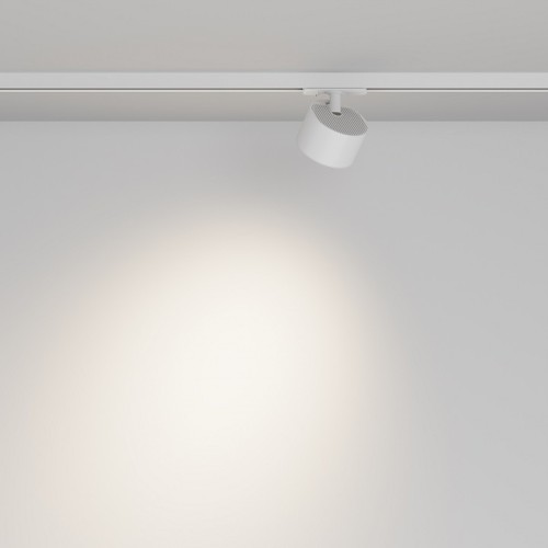 Светильник на штанге Maytoni  TR225-1-GX53-W