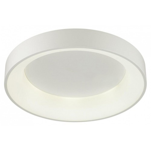 Накладной светильник Odeon Light Sole 4066/40CL