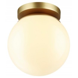 Накладной светильник Odeon Light Bosco 4247/1C