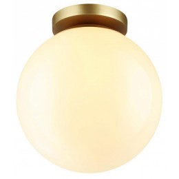 Накладной светильник Odeon Light Bosco 4248/1C