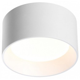 Накладной светильник Odeon Light Oben 6622/10CL