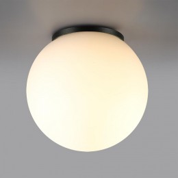 Накладной светильник Odeon Light NATURE 7124/1C