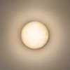 Накладной светильник Odeon Light NATURE 7190/6WL